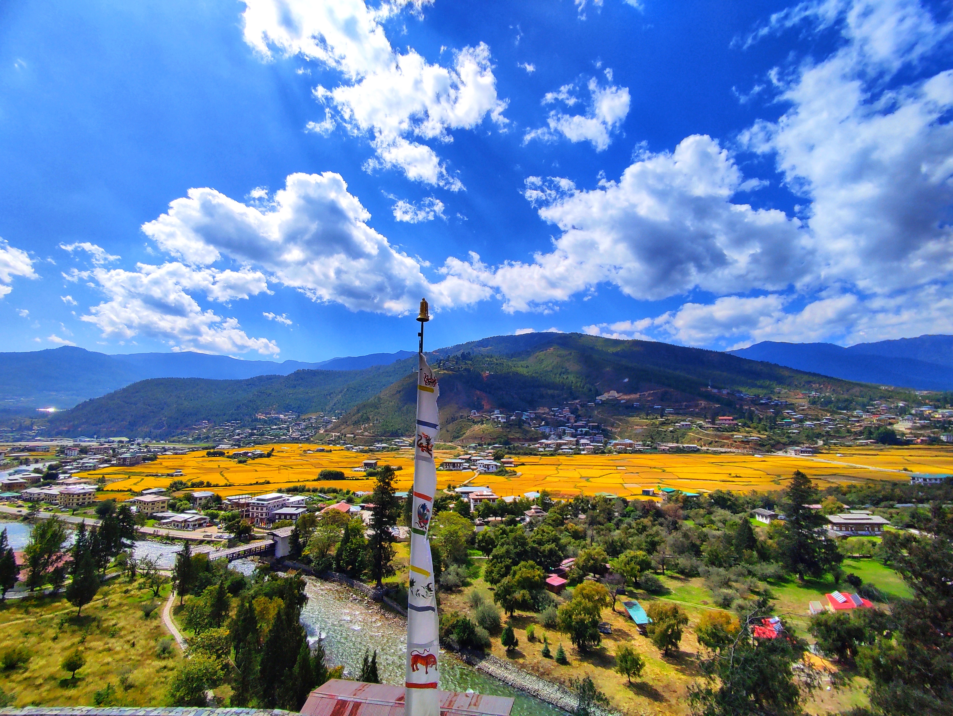 Golden Paro